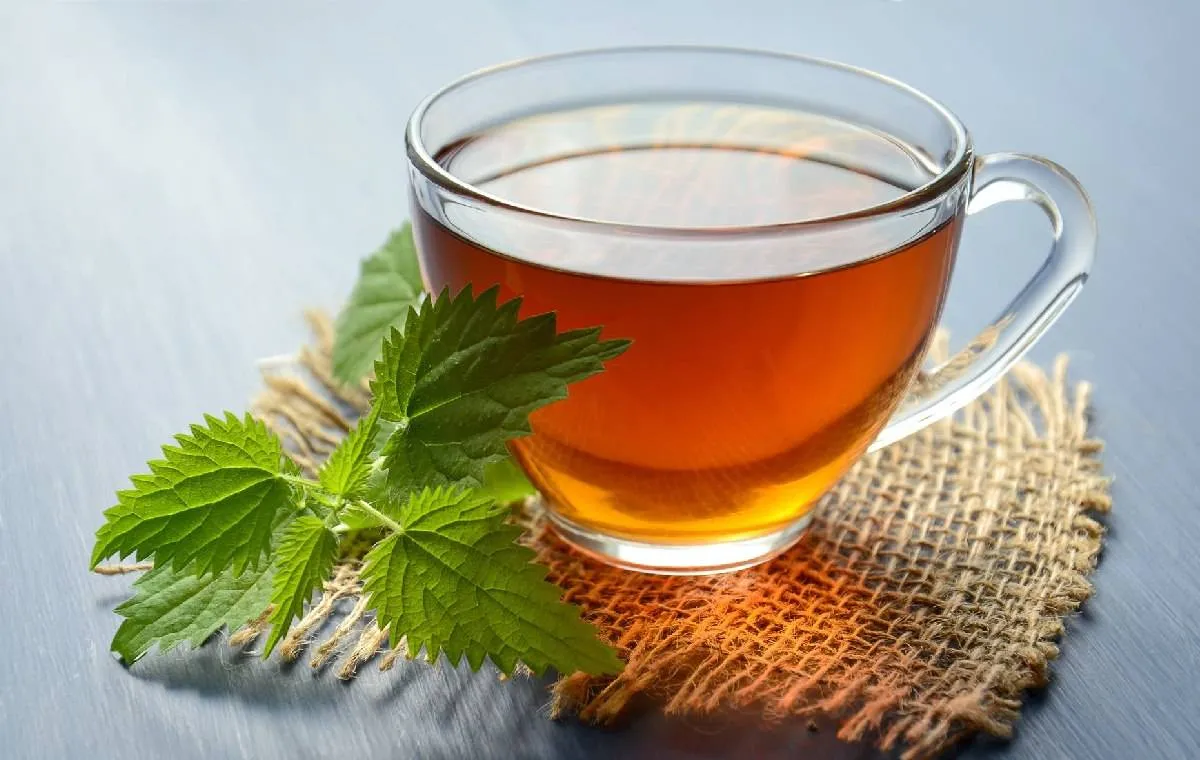 همه چیز درباره روز جهانی چای: تاریخچه، اهمیت و جشن‌های خاص