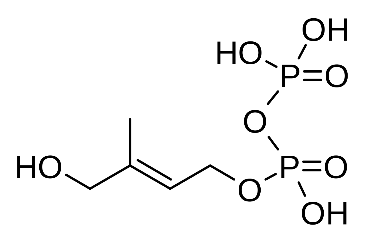 معرفی و تحلیل ترکیب (E)-۴-هیدروکسی-۳-متیل-بوت-۲-انیل پیروفسفات