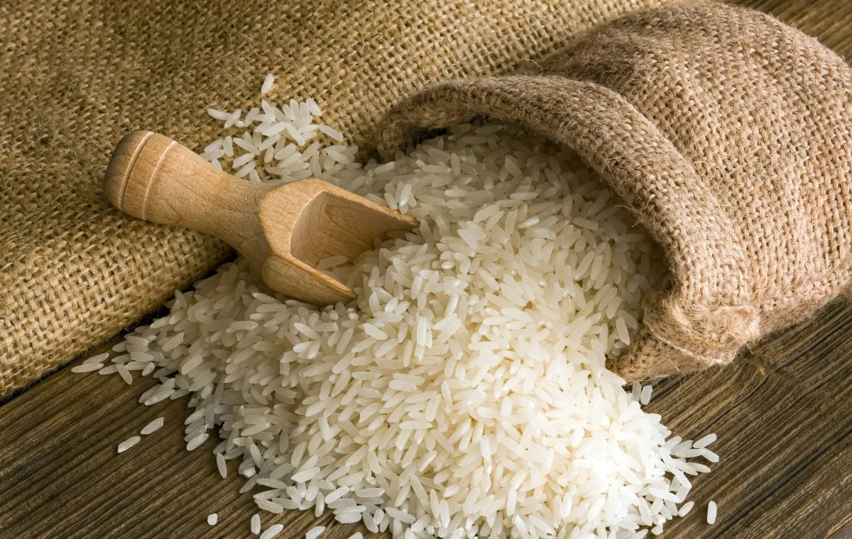 راهنمای خرید برنج هاشمی ایرانی | نکات مهم و راهنمایی‌ها