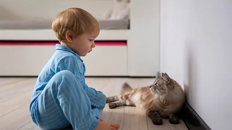 چگونه حیوان خانگی را برای نوزاد جدید آماده کنیم؟