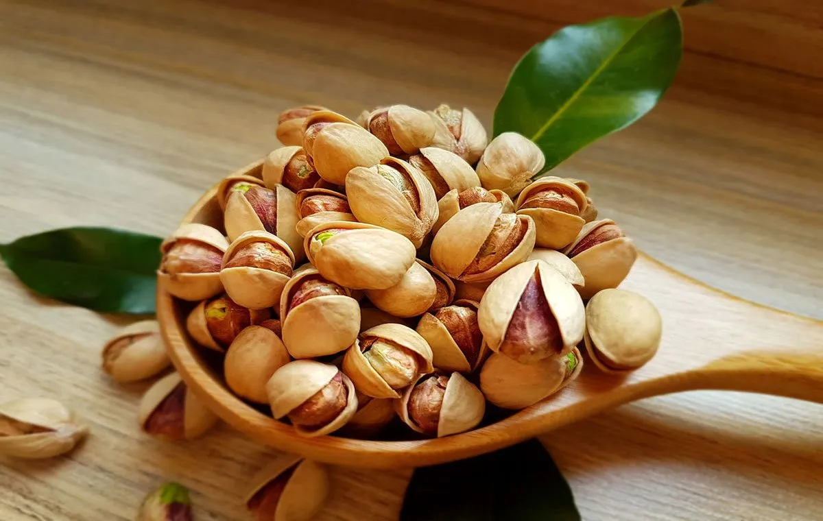 راهنمای کامل و تخصصی خرید پسته مرغوب