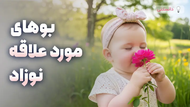 بررسی جامع بوهای محبوب و تاثیر آن بر آرامش نوزادان