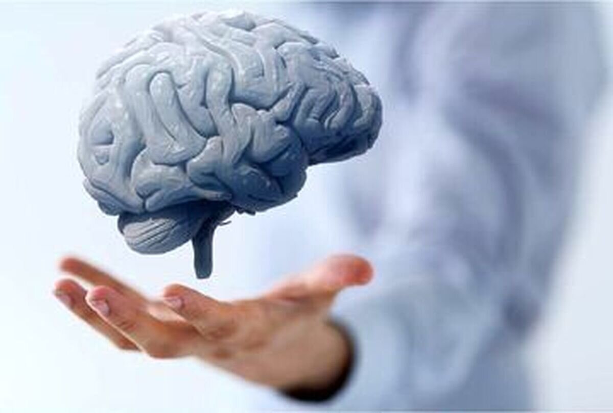 چهار روش ساده برای حفظ سلامت مغز و پیشگیری از بیماری‌ها