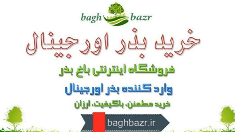 راهنمای جامع برای خرید بذر گل و سبزیجات با کیفیت