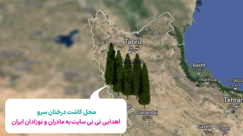 نی نی سایت و درختکاری نمادین برای حفظ محیط زیست و توسعه پایدار