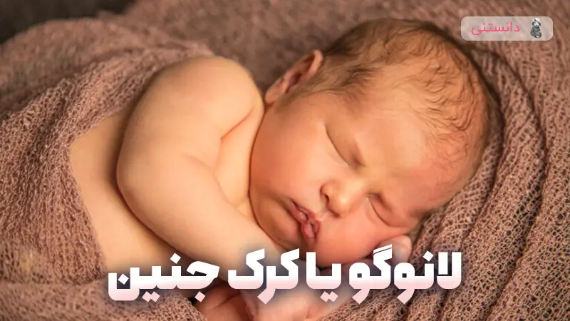 همه چیز درباره لانوگو و روند رشد موهای جنین در رحم