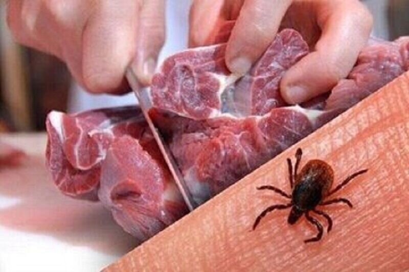 اطلاع‌رسانی درباره خطرات بیماری تب کریمه کنگو در خراسان رضوی
