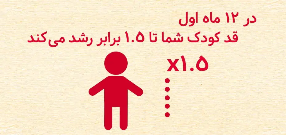 راهنمای تغذیه سالم در دوران بارداری و کودکی