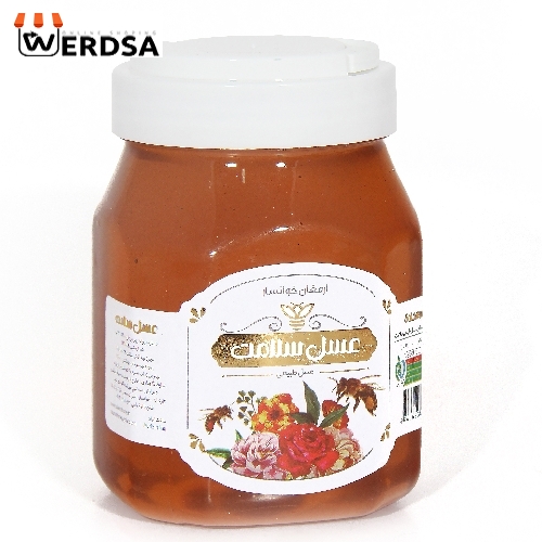 عسل بی موم پرنسس 750 گرمی