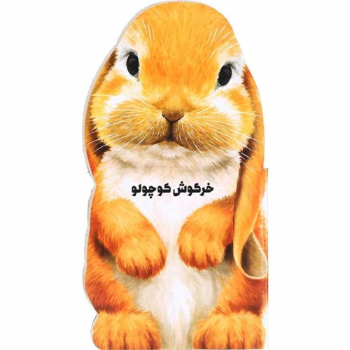 کتاب داستان خرگوش کوچولو برای کودکان