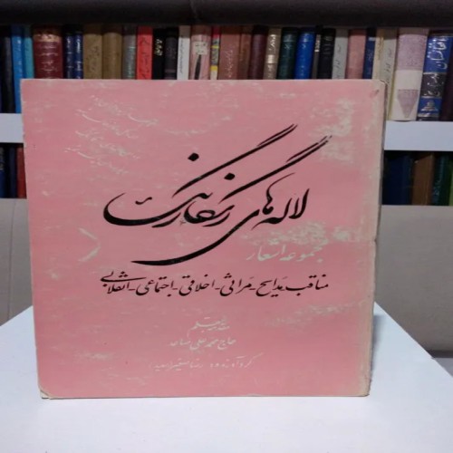 فروش لاله‌های رنگارنگ حاج محمدعلی صاعد با کیفیت عالی