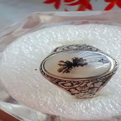 فروش انگشتر نقره شجر قائن با طراحی خاص و دست‌ساز