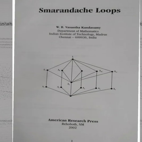 فروش Smarandach loops vassantha