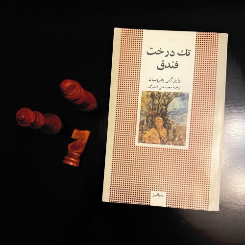 فروش تک درخت فندق وارتز گس پطروسیان