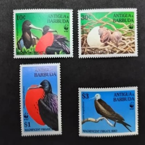 فروش WWF پرندگان بار