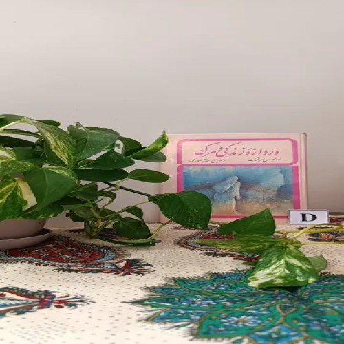 خرید دروازه زندگی و مرگ ذبیح الله منصوری با بهترین قیمت