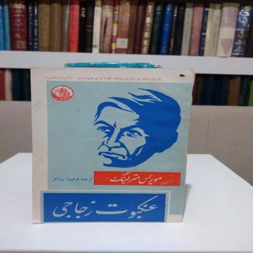 فروش عنکبوت زجاجی موریس مترلینگ فرامرز برزگر