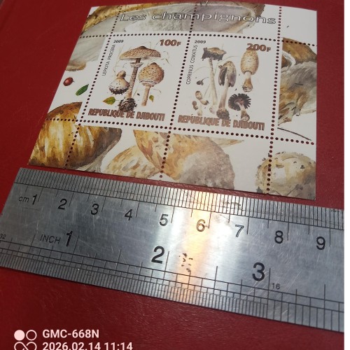 خرید مینی شیت گیاهان وردسا با بهترین قیمت