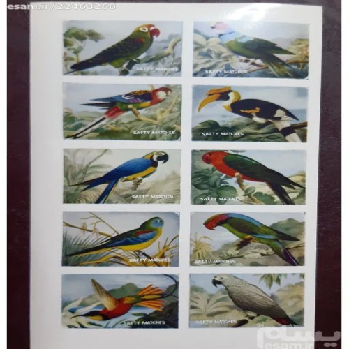 فروش لیبل کبریت پرندگان