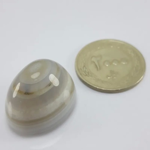 فروش نگین باباقوری چند پوست معدنی با بهترین قیمت