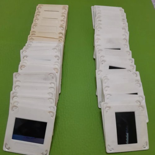 فروش 100 عدد اسلاید زیست شناسی کلکسیونی و آنتیک