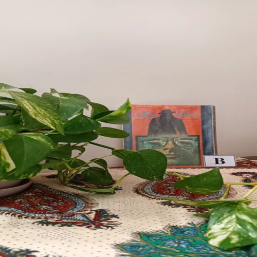 فروش سایه مرگ ذبیح الله منصوری