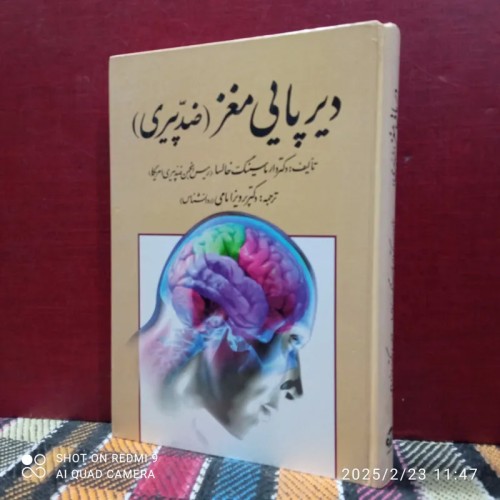 فروش دیرپایی مغز، بهترین کیفیت و قیمت مناسب