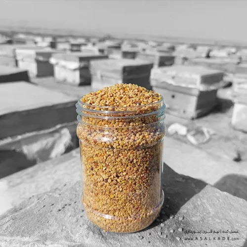 گرده گل خالص کوهستانی دو کیلوگرمی | بهترین کیفیت