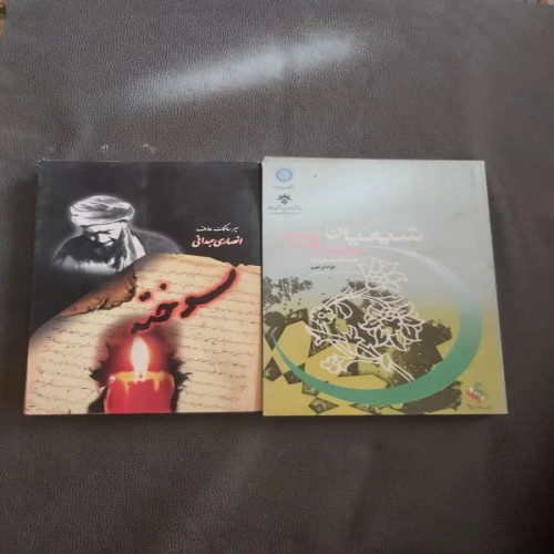 فروش سوخته سیر سالک عارف انصاری همدانی با قیمت مناسب