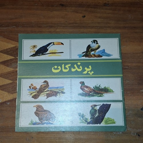 فروش پرندگان آلبوم عکس پرندگان