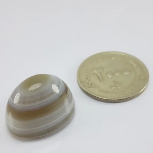 فروش نگین باباقوری چند پوست معدنی با ضمانت و قیمت مناسب