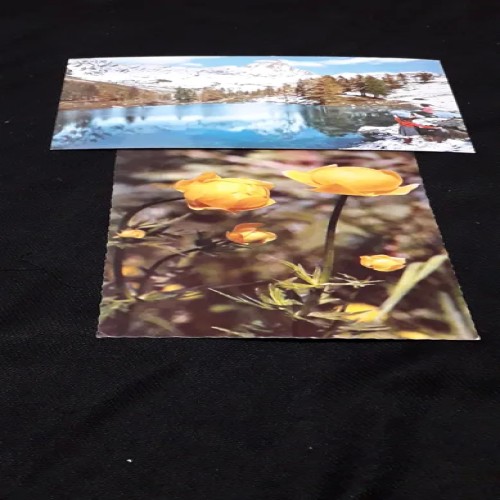 فروش 2 عدد کارت پستال قدیمی چاپ ایتالیا با نوشته پشت