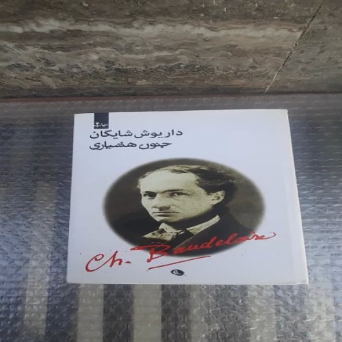 کتاب جنون هوشیاری - چاپ چهارم 1399