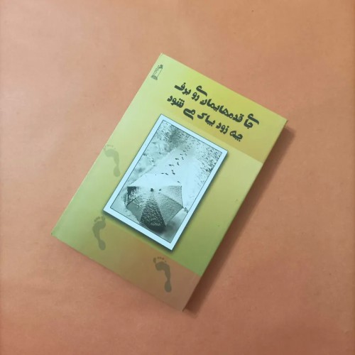 کتاب جای قدم هایمان روی برف چه زود پاک اثر دهکرد نژاد