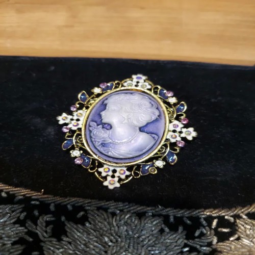 سنجاق سینه آلاباستر اروپایی زیبا و شیک