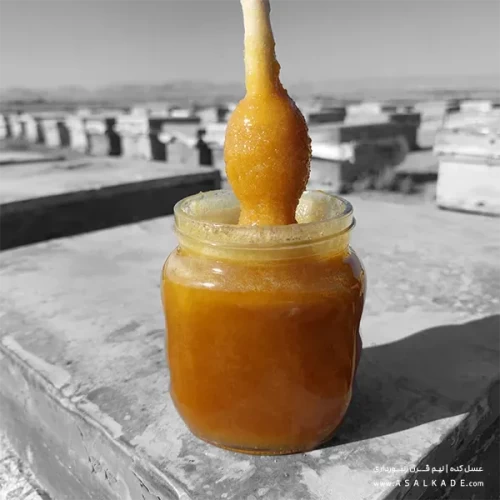 عسل کنار خام ارگانیک طبیعی و ارگانیک