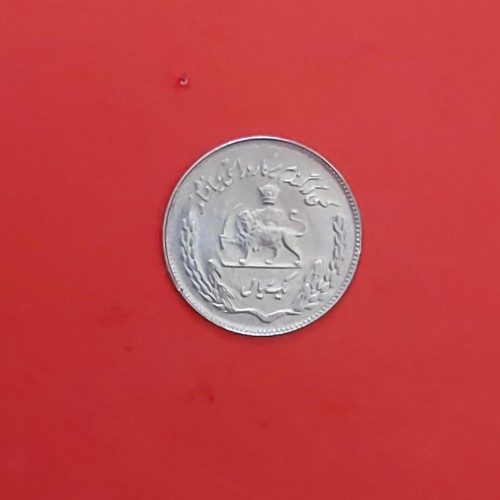 خرید 1 ریالی گندم | کد 31 بهترین قیمت و کیفیت