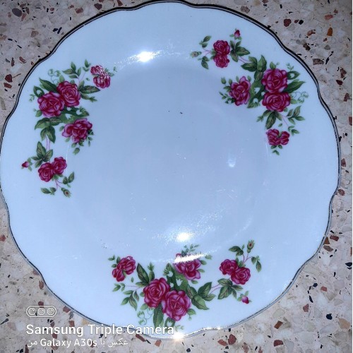 فروش یکدست 6 عدد بشقاب گل سرخی 23 سانتی