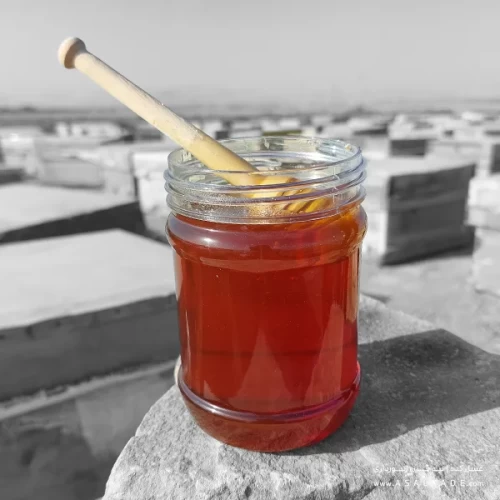 عسل ممتاز صاف شده ارگانیک طبیعی و خالص