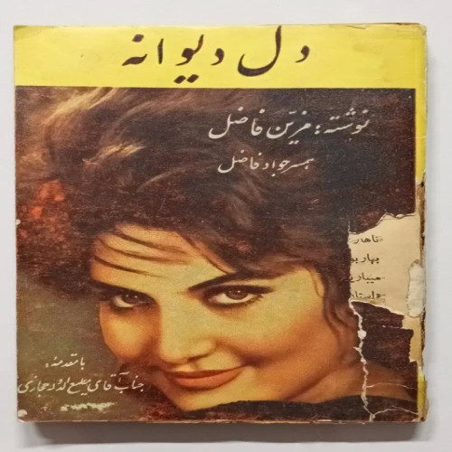 فروش کتاب دل دیوانه مزین فاضل همسر جواد فاضل قدیمی