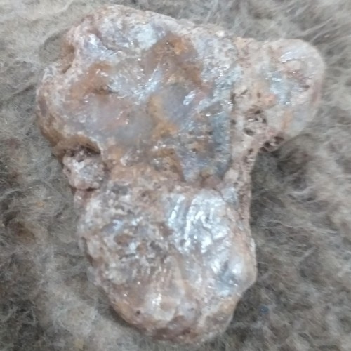 فروش سنگ راف یاقوت شجر عسلی گزی کمیاب