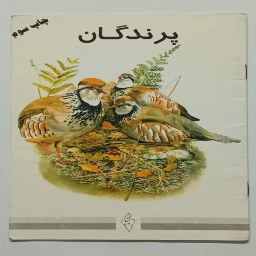 کتاب پرندگان مجتبی الهی خراسانی - آکبند و کمیاب