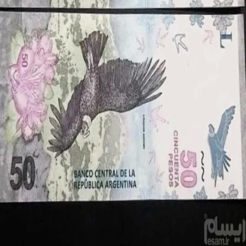 فروش اسکناس پزو آرژانتین سوپر بانکی اصل با گارانتی
