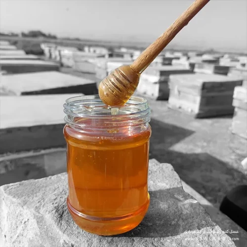 عسل بهارنارنج ارگانیک و صاف شده طبیعی
