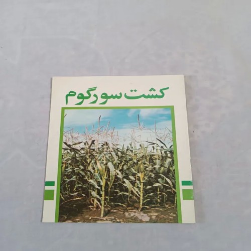 فروش کشت سورگوم و ذرت علوفه ای با بهترین قیمت