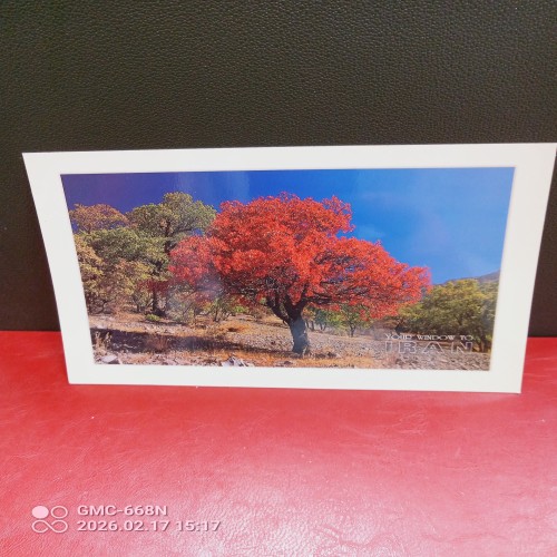 فروش بسته صدتایی کارت پستال