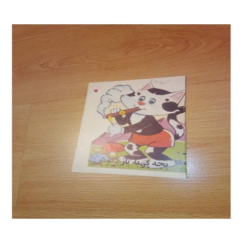 بچه گربه بازیگوش پدیده با کیفیت عالی و نایاب