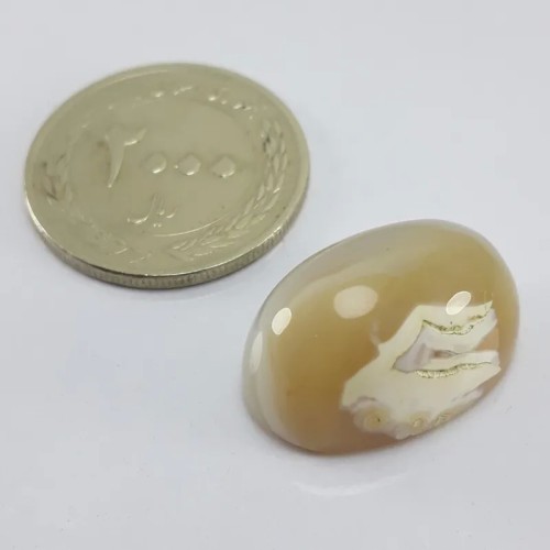 فروش نگبن عقیق سلیمانی مصور سر بز کوهی با ضمانت