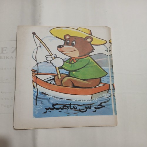 فروش خرس ماهیگیر پدیده با قیمت مناسب و کیفیت عالی