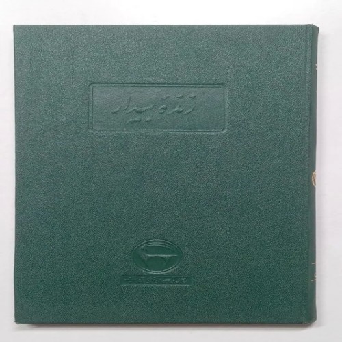 فروش زنده بیدار ابن طفیل فروزانفر بنگاه